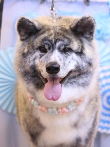 20231117むぎくん